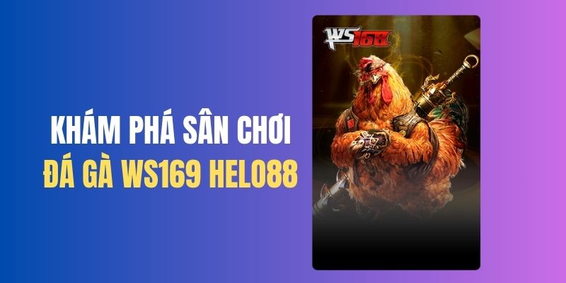 Sân chơi đá gà Ws168 Helo88 nổi tiếng nhất thị trường