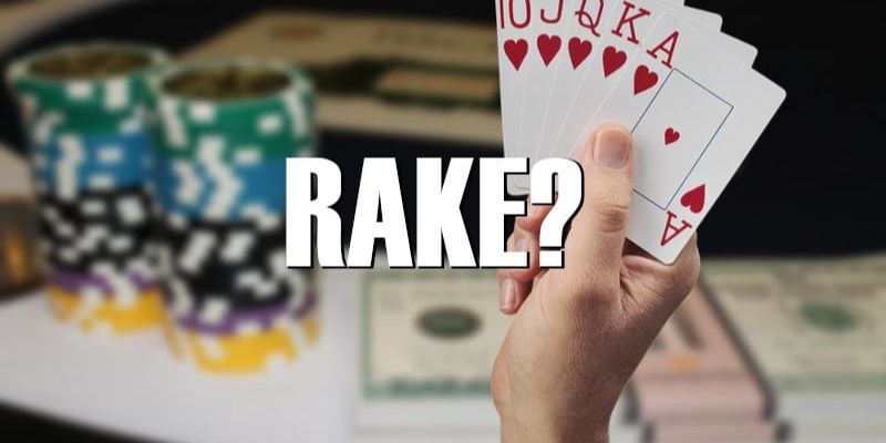 Tìm hiểu về khái niệm của Rake Poker