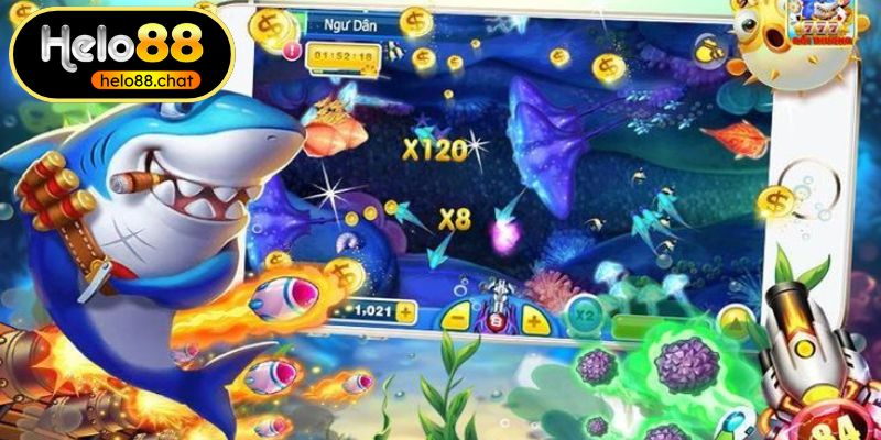 Chú ý các quy tắc khi tham gia chơi