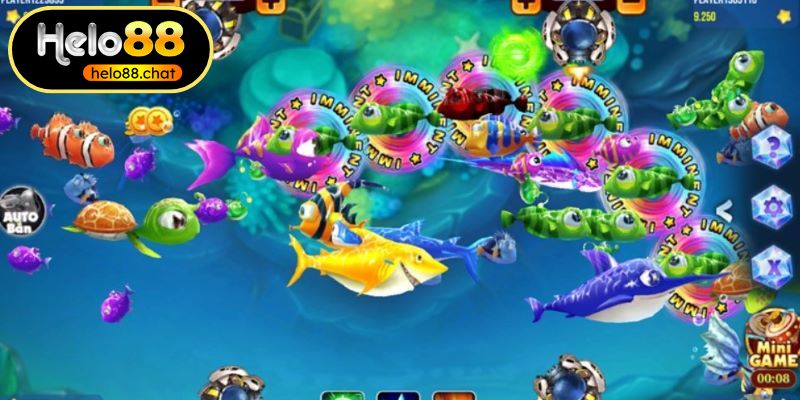 Nâng cao kỹ năng săn bắt sinh vật biển